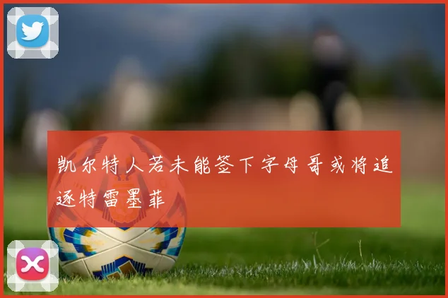 凯尔特人若未能签下字母哥或将追逐特雷墨菲