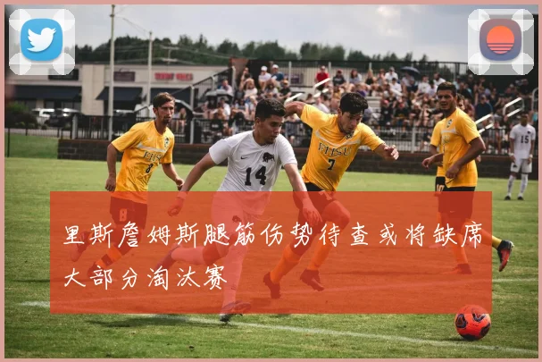 里斯詹姆斯腿筋伤势待查或将缺席大部分淘汰赛